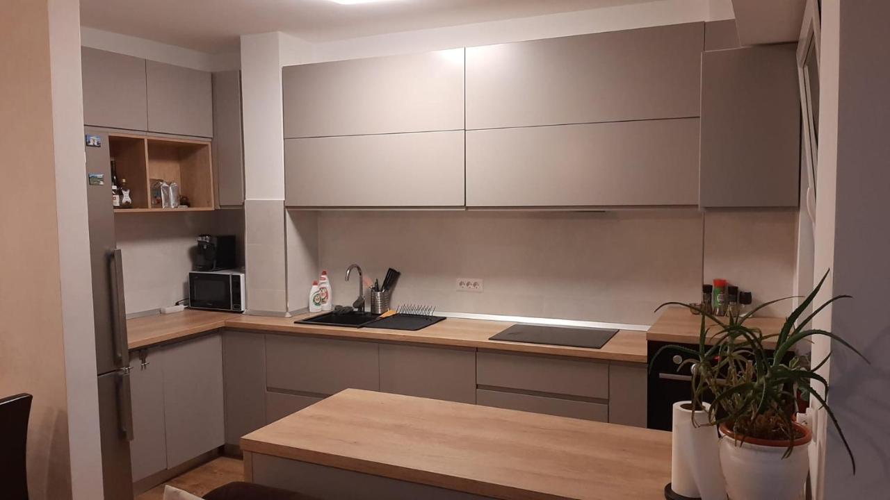 Apartment Vlad Cluj-Napoca